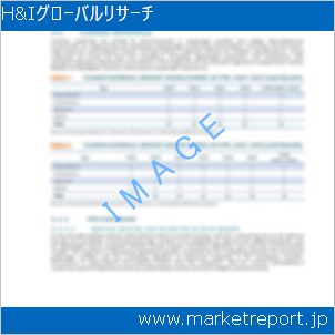 市場と産業調査レポートのイメージ